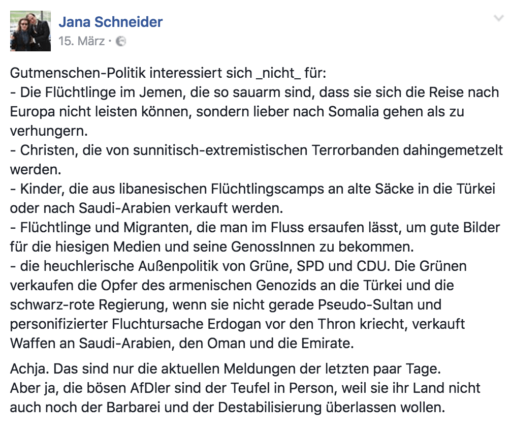 Endstation AfD. so sieht die AfD die Gutmenschen