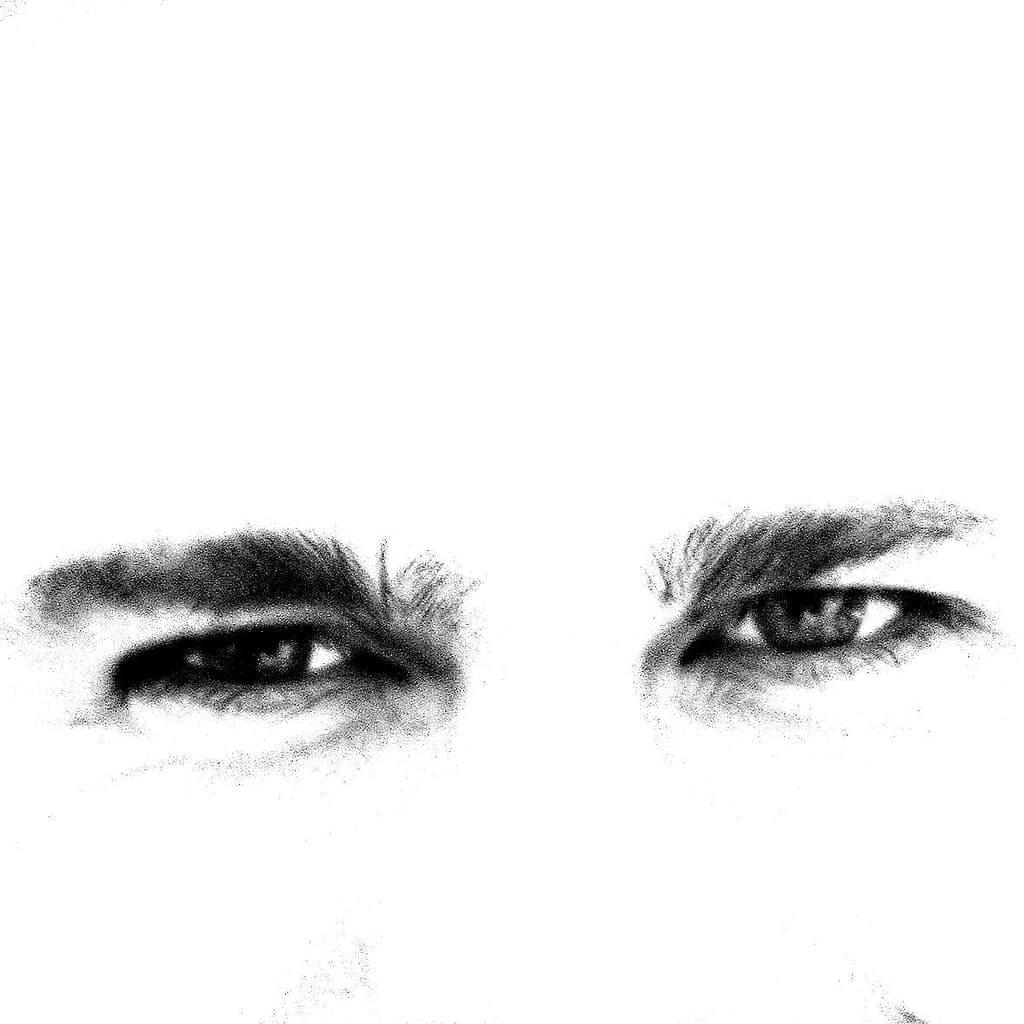 "Freiheit passiert nicht einfach so. Sie kommt nie zwangsläufig und bleibt nie von selbst." -
Zitat aus dem Buch "Wo Recht zu Unrecht wird" von Thomas Schwarz.