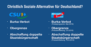 Wer ist denn hier wer? CSAfD? © Giegold Facebook