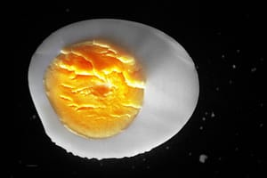 Da ist was faul im WhatsApp-Staate Zuckerberg © Tom Rübenach Da ist was faul im WhatsApp-Staate Zuckerberg © Tom Rübenach