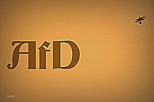 Braune AfD? © Tom Rübenach