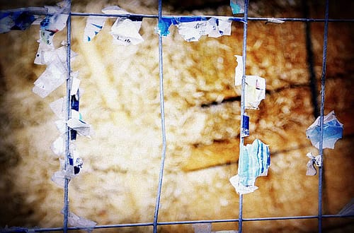 Zaun © Tom Rübenach