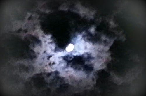 Dunkles, braunes Deutschland mit Trump und der AfD © Tom Rübenach