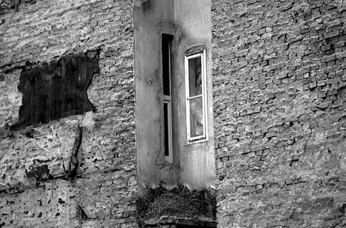 Mauerbauer Trump - Gehilfen Petry, Steinbach, Seehofer © Tom Rübenach