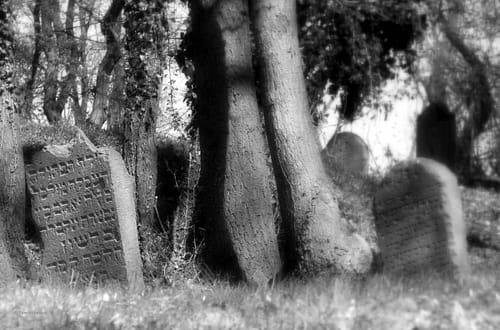 Der 27. Januar mahnt täglich © Tom Rübenach